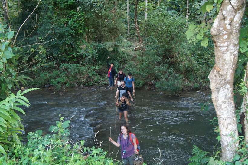 Vang Vieng: Jungle & Caves Full-Day Private Trekking Tour - Timing, equipment, and physical demands