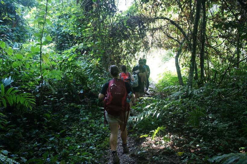 Vang Vieng: Jungle & Caves Full-Day Private Trekking Tour - Climbing toward the high ridge
